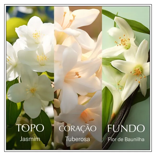 PERFUME CHANSON D'EAU JASMINE EAU DE TOILETTE FEMININO 100ML - Imagem 4